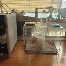 HM메디텍 이미지