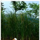 이슬공원 이미지