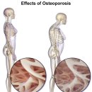 세조의원 이미지