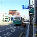 외동농협주유소 네이버블로그