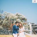 뉴젠스튜디오 이미지