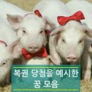 이런꿈 꾸면 복권사세요 이미지