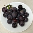 순이 건어물 이미지