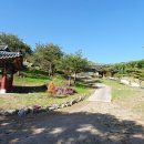 심덕부묘 이미지