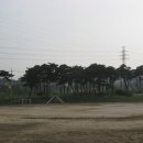 창오초등학교 이미지