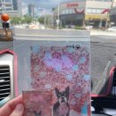 몽이네 맡겨보시개 이미지