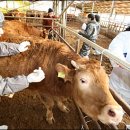 장림1동-6 이미지