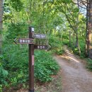 동정리 현대아파트 이미지