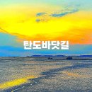 탄도항 공중화장실 (경기도) | 대부도가볼만한곳 대부도애견동반여행 대부도여행코스 서해노을명소 탄도항노을