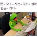 리찌주