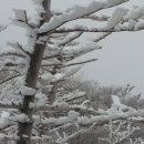 한라의 집 이미지