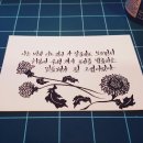 글씨에 감성을 더하다 캘리그라피 이미지