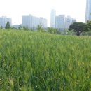 부개공원 이미지