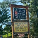 유픽(U-PICK) | 랭리 블루베리/딸기 유픽 체험농장 추천, 크라우즈 베리팜(Krause Berry Farms&amp;Estate Winery U-Pick)