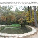 (주)송광건설 - 17582 | 15.11.28 순천 선암사 - 장군봉 - 송광불목재 - 송광사(해든)