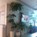 항미소외과의원 이미지