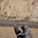 행복 애견방 이미지