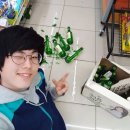 울산오란다 네이버블로그