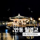 밤&여기 | 안동 야경 제대로 보려면 여기였어요 월영교 밤 8시 방문 후기