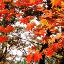 정부청사역 이미지