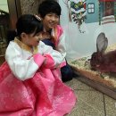 신기슈퍼 이미지