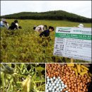 장백농장 이미지