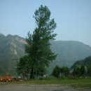 쌍둥이네민박 이미지