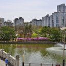 분당중앙공원 이미지