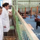 조원흑염소농장 이미지