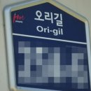 처가집통 Daum카페