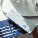 인터넷 토탈마켓 러쉬 | 마이피픈 비브 벤티 차콜 픽싱 빅사이즈 축고정 그레이 원데이 렌즈 후기!