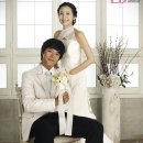 송호범 카카오 검색결과