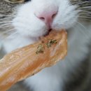 누리까까 이미지