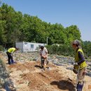 김봉수 농장 이미지