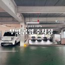 대정공영