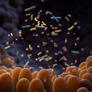 배가한방병원 이미지