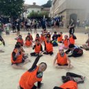 한국체대 비호태권도 이미지