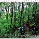 월명산야생화