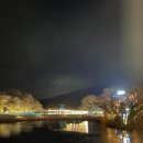 4살 아이랑 12월 에코랜드 제주 호텔 후기 : 수영장 / 식당 / 조식 / 키즈존