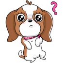 하나로양한방동물병원