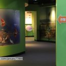 우포농촌체험휴양마을 이미지