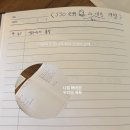 온다, 봄이 꽃차바리스타 | 유은이랑 1박2일 대전여행