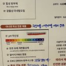 아나덴 슈가링왁싱 신용산역점 이미지