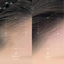 더라인헤어 - 서구 원당대로 681 | 더라인헤어