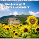 한솔동도서관 이미지