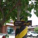 부강8리 마을회관 이미지