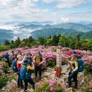 소백산 - 금천구 시흥대로58길 13 | 소백산