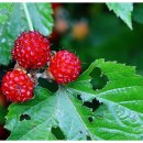 김흥농장 이미지