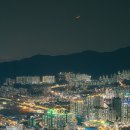 삼익비치아파트  노동조합 | 부산 벚꽃명소 탑4 부산온천천 부산가볼만한곳