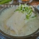 올레길삼계탕 - 아산시 순천향로 664-6 | 올레길삼계탕